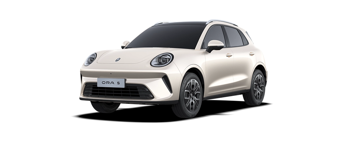Autozen-citroen-c5-gris