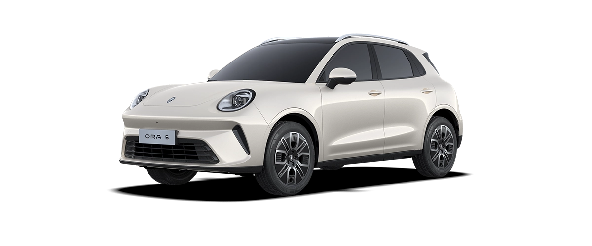 Autozen-citroen-c5-gris