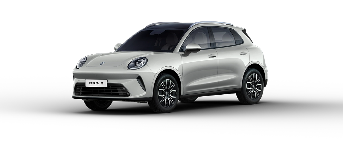 Autozen-citroen-c5-gris